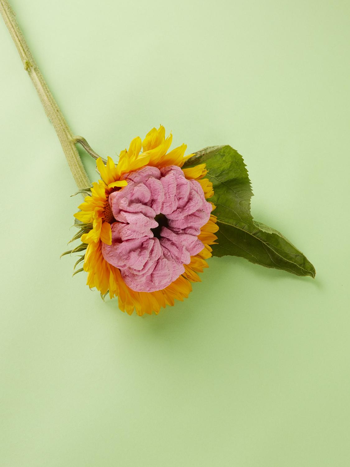 NKFKAYLA Hair Accessory - Pastel Lavender