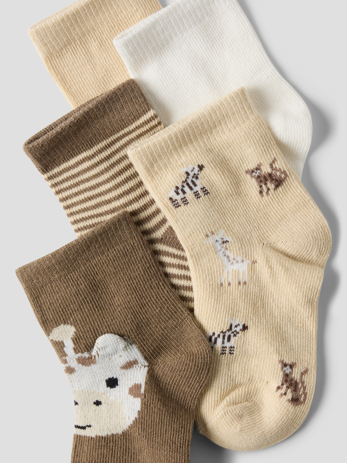 model_shot-front_full