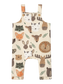 pack_shot-front