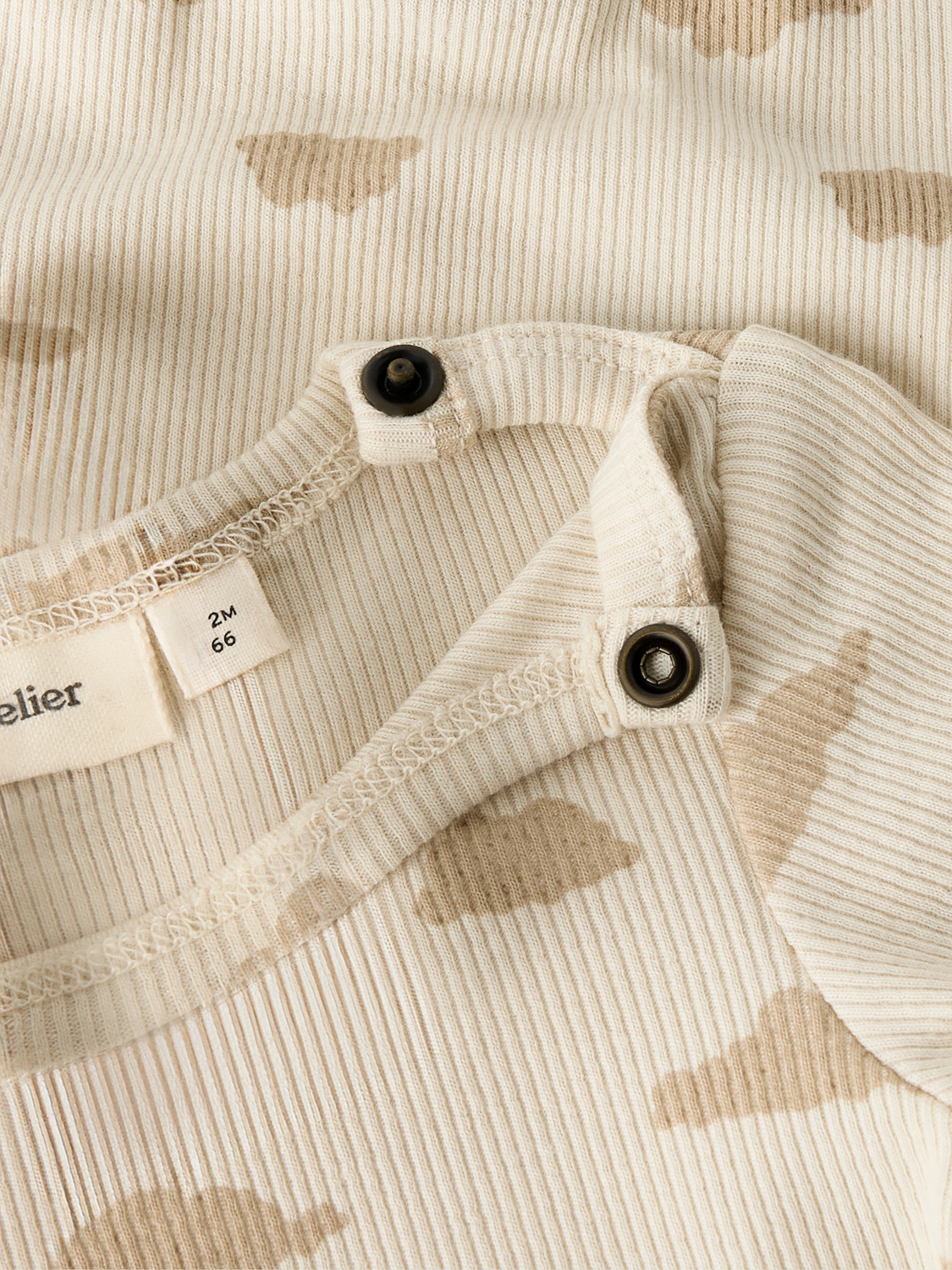 model_shot-front_full