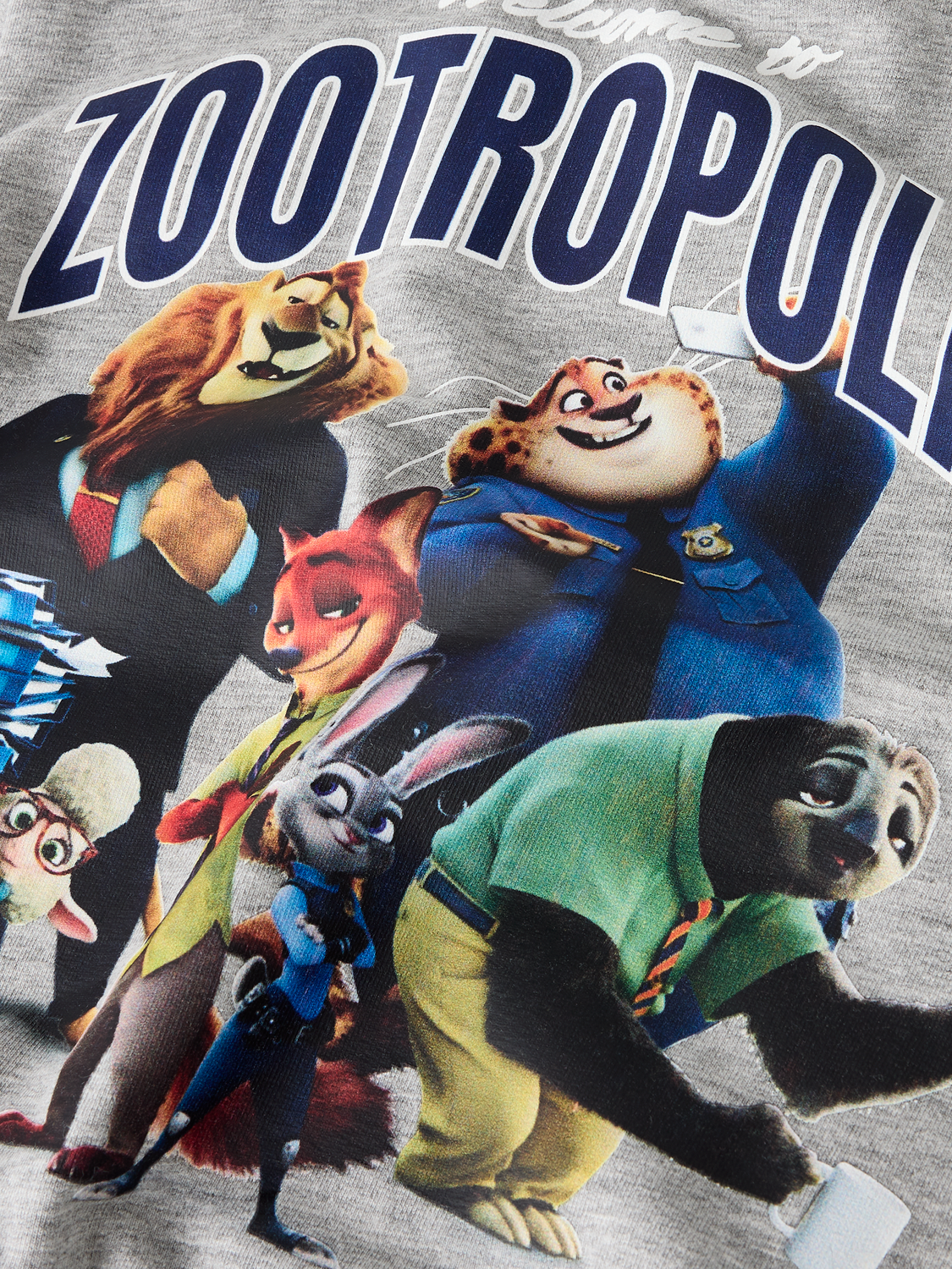 model_shot-front_full