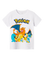 pack_shot-front