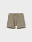 NBMRAJO Shorts - Silver Sage